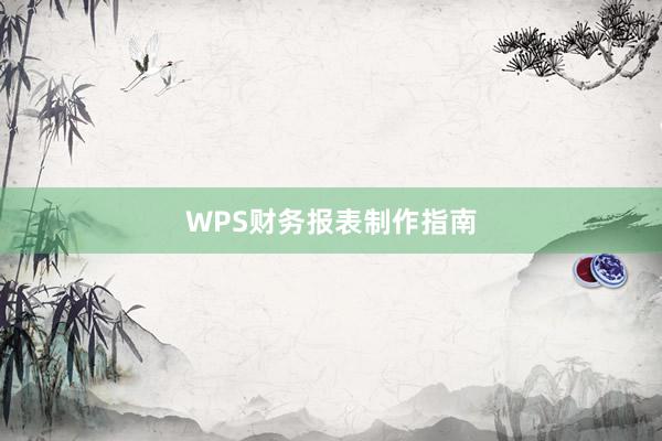 WPS财务报表制作指南